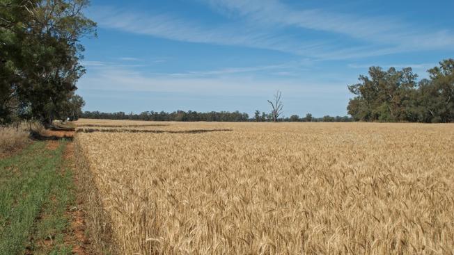 (Artykuły)Nowe rozwiązania podatkowe dla rolników – co zmieni się w 2025 roku?