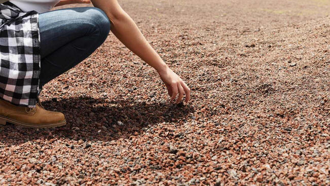 (Artykuły)Dzierżawa gruntu rolnego pod fotowoltaikę: podatek dochodowy i zasady rozliczania