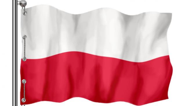 Polskie firmy ruszyły na podbój świata