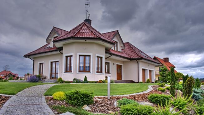 Sadzenie drzew na cudzych działkach może być kosztem...