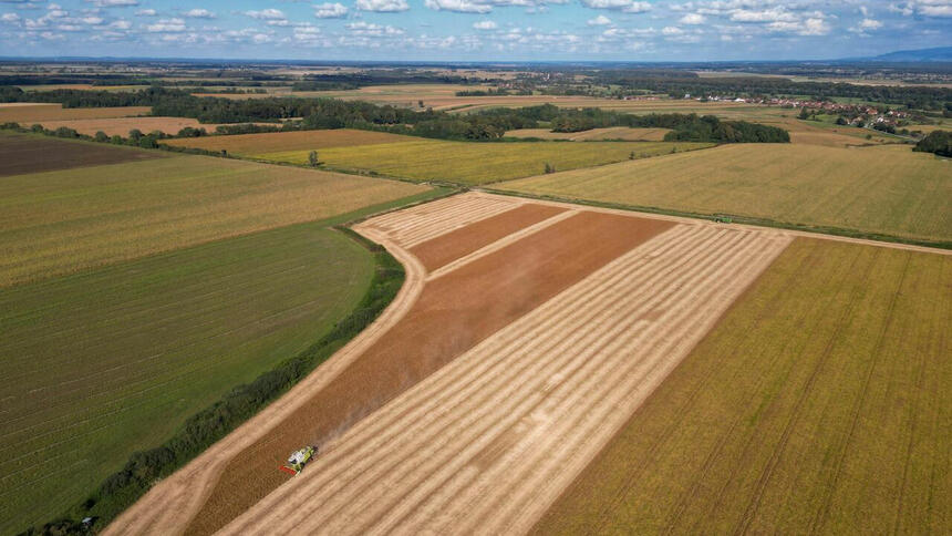 Opłata przekształceniowa, kto ją musi zapłacić? Jak... 