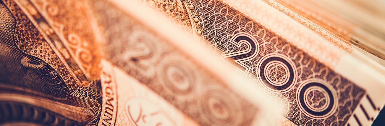 Narodowa Strategia Bezpieczeństwa Gotówki